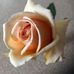 Margaret Snell - Facebook