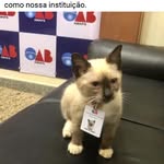 Maggie Soares - @amaroeazevedo18 - Instagram