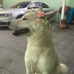 Maggie Soares - @maggie_soares20 - Instagram