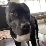 Maggie S - @solimanmaggie - Instagram