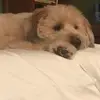 Maggie - @maggie_solomon - TikTok