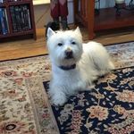 Maggie Speers - @maggiespeers - Instagram