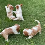 Maggie Spencer - Facebook