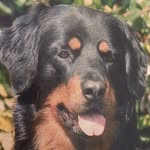 Maggie Spencer - @hightimbers2023 - Instagram