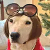 Maggie Spencer - @maggie.spencer4 - TikTok