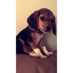 Maggie Mae Springer - @maggiemaespringer - Instagram