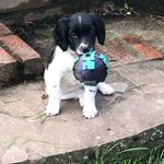 Maggie - @maggie_springer2023 - Instagram