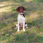 @maggie_mayhem_springer - Instagram