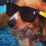 maggie_stanton - @maggie_stanton - Instagram