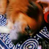 maggie steinshouer - @maggiiiiiiiiiie - TikTok
