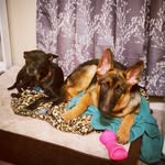 Maggie & Stella - @adventures_of_mags_and_stella - Instagram