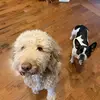 Maggie & Stella - @maggie_stella0 - TikTok