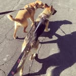 Maggie & Stella & Josie - @maggie.stella.josie - Instagram