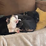 Stella + Maggie - @stellamae_maggielou - Instagram