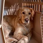 Maggie Stock - @libragal10 - Instagram