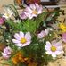 Maggie Stock - Facebook