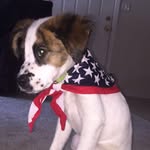 Maggie Stockman - @maggie.stockman400 - Instagram
