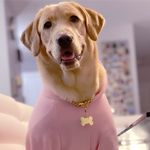 Maggie - @maggie_stories - Instagram