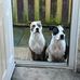 Margaret Storrie - Facebook