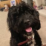 Maggie Stringer - @magstrin - Instagram