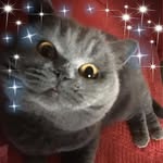 Maggie Stuart - @maggiestuart1949 - Instagram