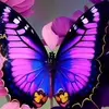 Sweetmaggie - @sweetmaggie787 - TikTok