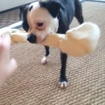 maggie🐶 - @maggie_teague_ - Instagram
