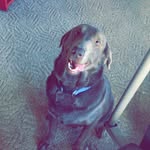 Maggie Thurman - @maggie_thurman_ - Instagram