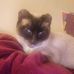 Margaret Thurman - Facebook
