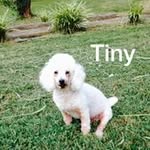 Maggie Drummond Upton - @upton.maggie - Instagram