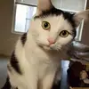 maggieupton962 - @maggieupton962 - TikTok