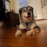 Maggie Schaeffer Vance - @magsphoto7 - Instagram