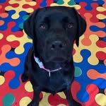 Maggie Muldoon Watson - @maggie_watson61 - Instagram