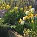 Maggie Watson - Facebook