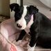 Maggie Watson - Facebook
