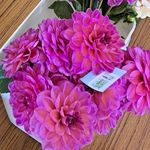 Maggie Whitaker - @maggiesfarmflowers - Instagram