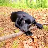 Maggiewhitaker1584 - @maggiewhitaker1584 - TikTok
