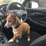 Margaret Whiting - @maggie5065 - Instagram