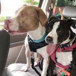 maggieandwillard - @maggieandwillard - Instagram