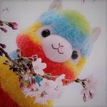 Maggie Wolfe - @wolfe501 - Instagram