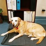Maggie Wolfe - @jo.mcgee68 - Instagram