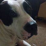 Maggie Wolfe - @margarethawolfe09 - Instagram