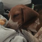Maggie Wolfe - @maggie_wants_friends - Instagram