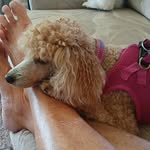 Maggie Wolff Peterson - @maggiewpeterson - Instagram