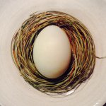 Magnus Nilsson - @magnusfaviken - Instagram