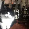 Magnus Nilsson - @magnus.nilsson606 - TikTok