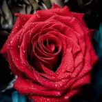 Maha Abraham - Facebook