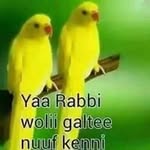 Ibraahim Mahaamad Ahaamad - @mahaamadahaamad - Instagram
