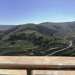 Maha Amad - @amadmaha - Instagram