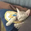 Maha 🇵🇹⁷ - @maha.ismaill - TikTok